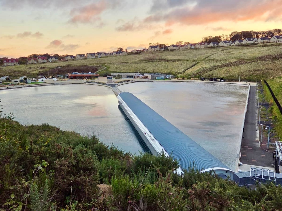 Biskit – LostShore